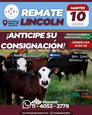 10 de Marzo - Lincoln