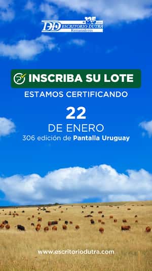 306º remate Pantalla Uruguay