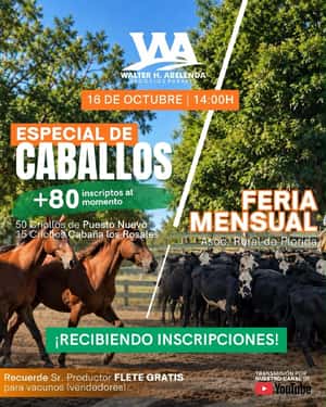 Feria Mensual + Especial de Caballos