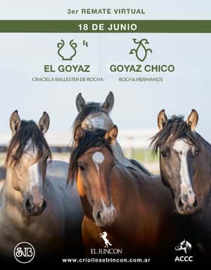 Remate El Goyaz y Goyaz Chico