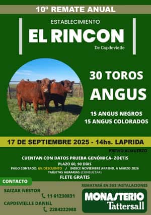 Remate Físico Cabaña El Rincón de Capdevielle