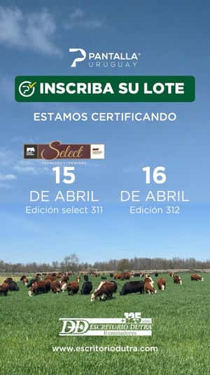 312º remate Pantalla Uruguay