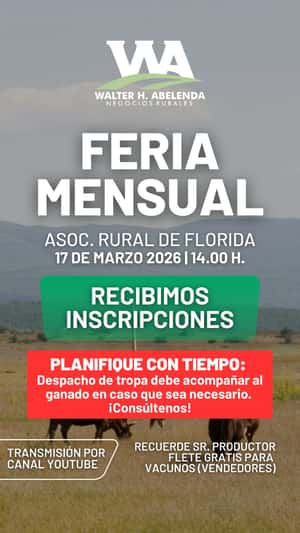 Feria Mensual - WHA