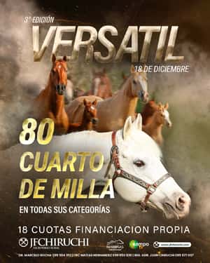 3° Edición Versátil