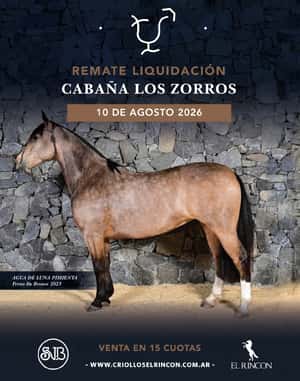 Remate liquidación Cabaña Los zorros