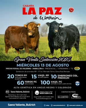 La Paz de Werthein