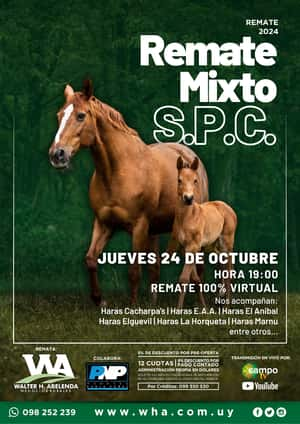 Remate Mixto S.P.C