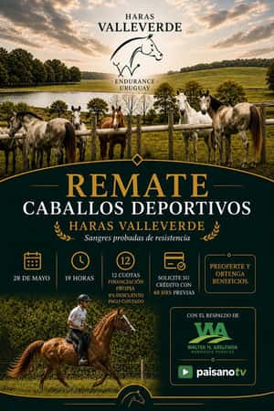 Haras Valleverde