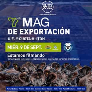 7° MAG de Exportación