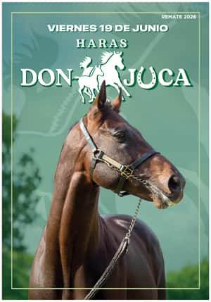 Haras Don Juca