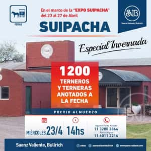 Feria en Suipacha