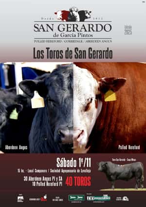 Toros de San Gerardo