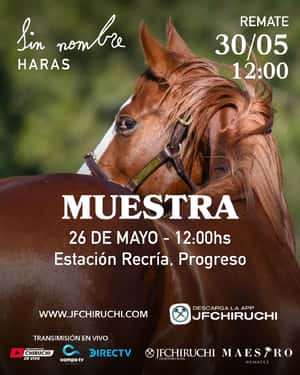 PRESENTACION DE LOS PRODUCTOS - HARAS SIN NOMBRE - 26/05/2026