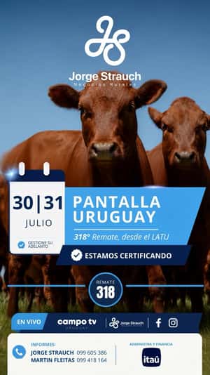 318º remate Pantalla Uruguay
