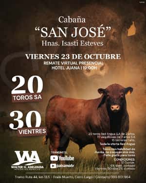 Cabaña San Jose