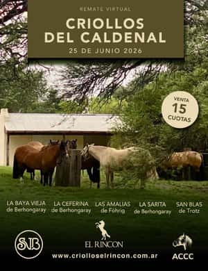 Criollos Del Caldenal