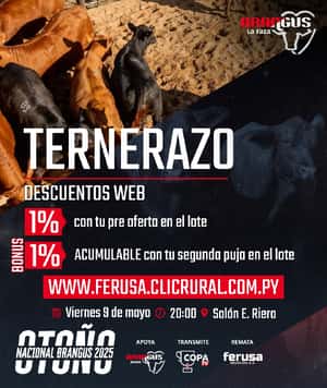 NACIONAL BRANGUS- TERNERAZO