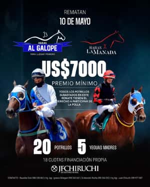 11 de Mayo - Virtual