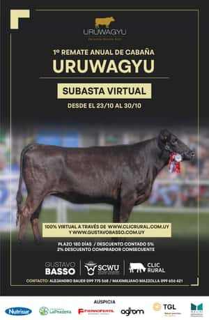 Subasta Virtual Cabaña Uruwagyu