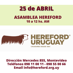 ASAMBLEA HEREFORD