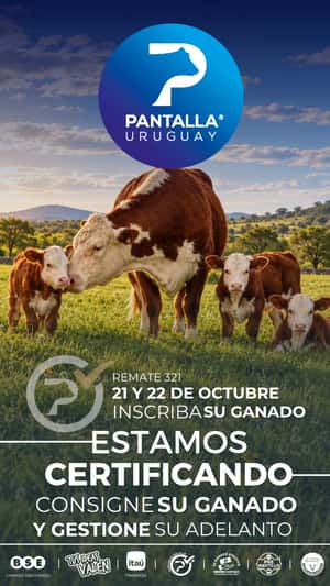 321º remate Pantalla Uruguay