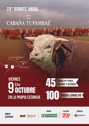 23º Cabaña Tupambaé