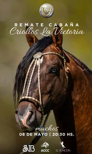 La Victoria - Machos