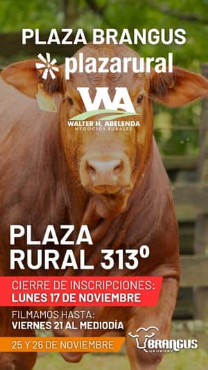 313º remate Plaza Rural