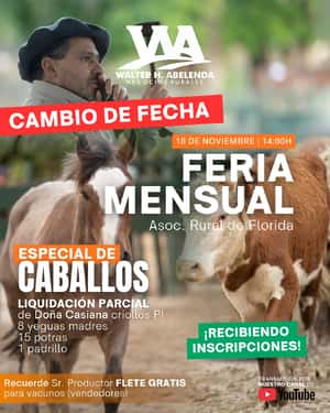 Feria Mensual + Especial de Caballos