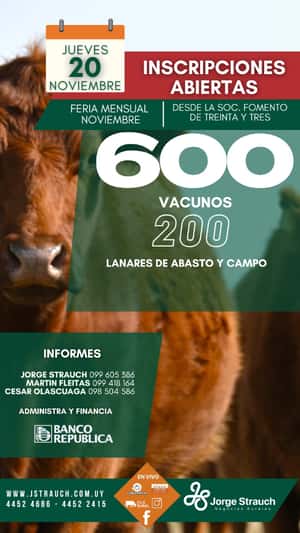 Feria Mensual - Jorge Strauch