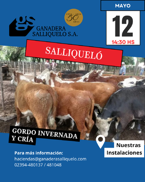 Remate Feria Ganadera Salliqueló S.A.