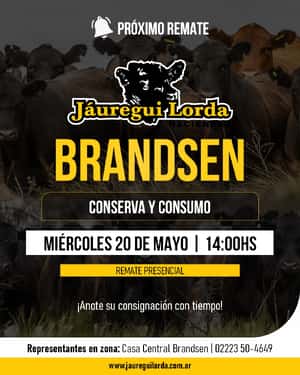 20 de Mayo - Brandsen