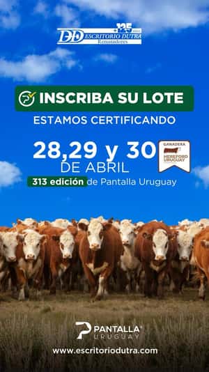 313º remate Pantalla Uruguay