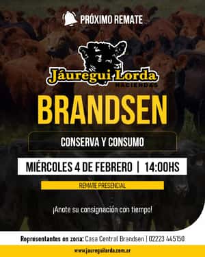 04 de Febrero - Brandsen