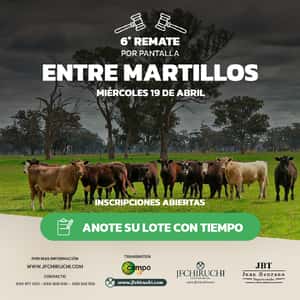 #6 Remate Entre Martillos