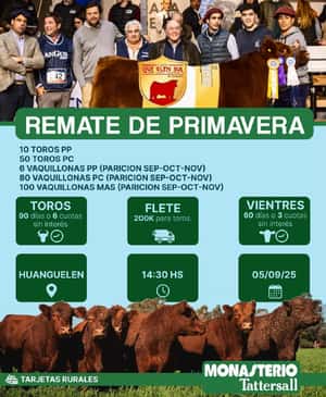 Remate Físico Cabaña Gue Glen Sur