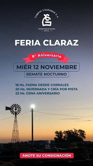 Remate FERIA NOCTURNO 8vo ANIVERSARIO