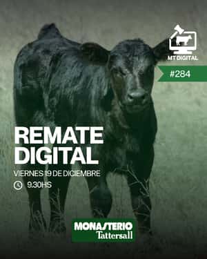 Remate digital 285°