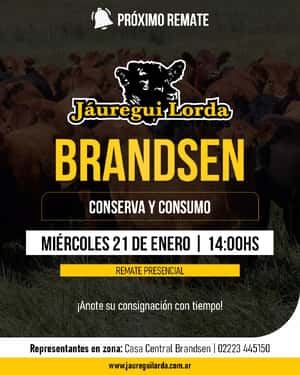 21 de Enero - Brandsen