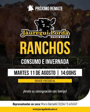 Remate consumo e invernada