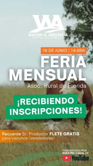 Feria mensual