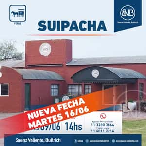 Feria en Suipacha