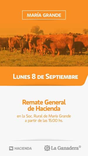 REMATE FERIA EN SOCIEDAD RURAL MARIA GRANDE