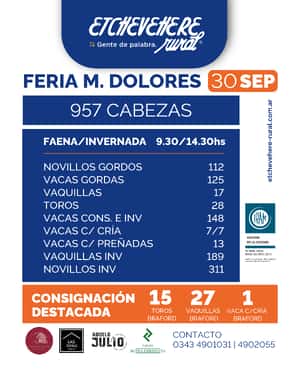 Feria Maria Dolores