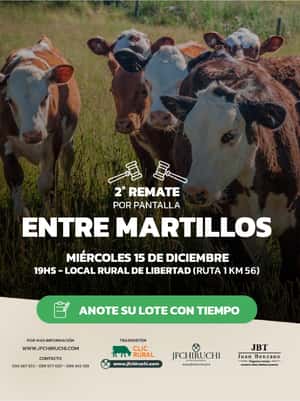 2da Pantalla ENTRE MARTILLOS