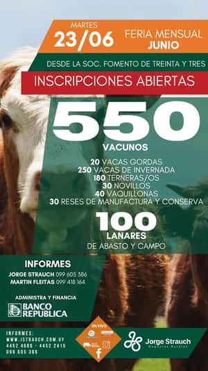 Feria mensual - Jorge Strauch