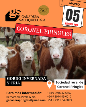 Gordo, Invernada y Cría