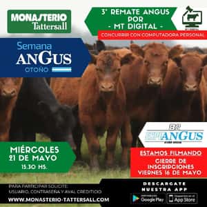 MT Digital Angus Expo otoño desde "La Rural"