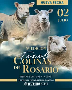 5to Remate Anual - Colinas del Rosario
