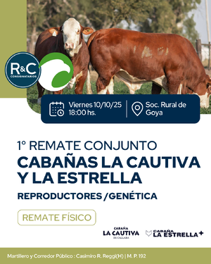 1er remate conjunto cabañas "La cautiva y la estrella"